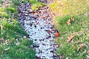 2203 Hambrooks Blvd, Cambridge, MD 21613 - Photo 68