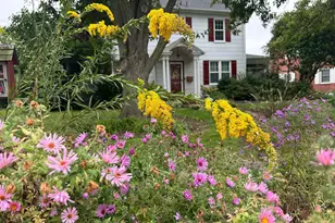 308 Glenburn Ave, Cambridge, MD 21613 - Photo 48