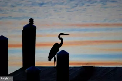 1252 Old Madison Road, Madison, MD 21648 - Photo 88