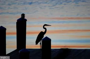 1252 Old Madison Rd, Madison, MD 21648 - Photo 88