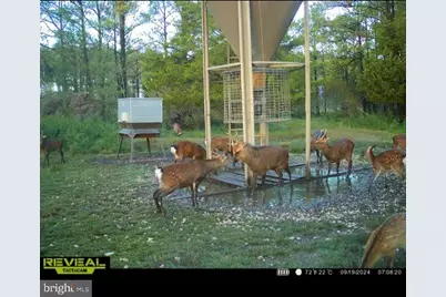 2373 Asquith Island Road, Crapo, MD 21626 - Photo 2