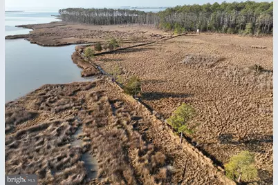 2373 Asquith Island Road, Crapo, MD 21626 - Photo 28