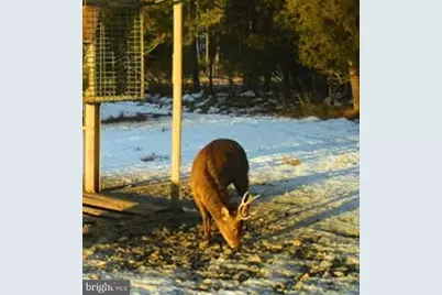 2373 Asquith Island Road, Crapo, MD 21626 - Photo 10