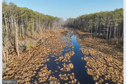 2373 Asquith Island Road, Crapo, MD 21626 - Photo 18