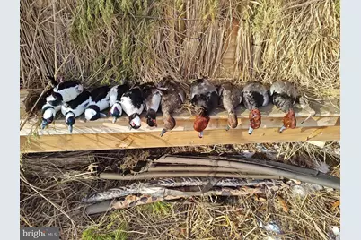 2373 Asquith Island Road, Crapo, MD 21626 - Photo 36