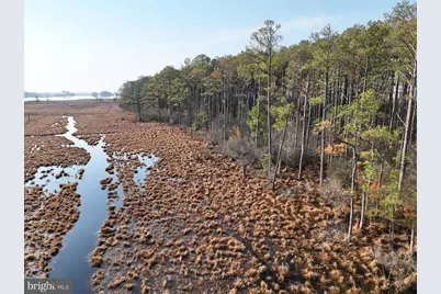 2373 Asquith Island Road, Crapo, MD 21626 - Photo 16