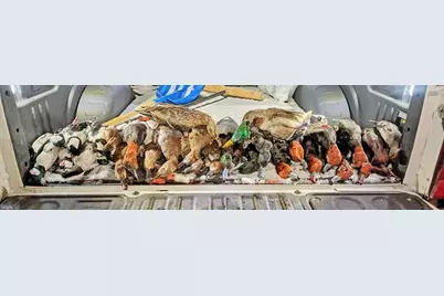 2373 Asquith Island Road, Crapo, MD 21626 - Photo 38