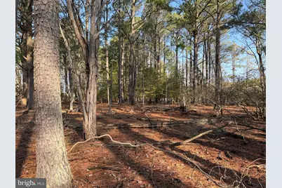 2373 Asquith Island Road, Crapo, MD 21626 - Photo 44