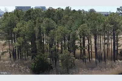 1625 Steamboat Wharf, Fishing Creek, MD 21634 - Photo 90