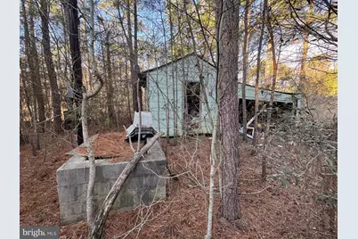 2525 Toddville Road, Toddville, MD 21672 - Photo 10