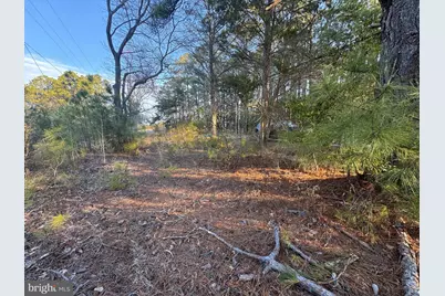 2525 Toddville Road, Toddville, MD 21672 - Photo 6