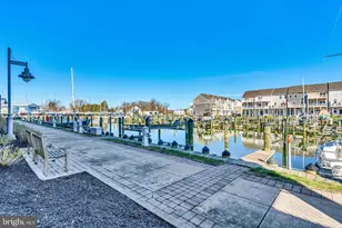 520 Marshy Cv, Cambridge, MD 21613 - Photo 38