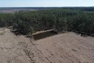 2839 Lakesville Crapo Rd, Church Creek, MD 21622 - Photo 36