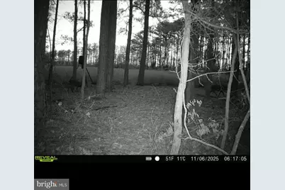 2839 Lakesville Crapo Road, Church Creek, MD 21622 - Photo 16