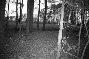 2839 Lakesville Crapo Rd, Church Creek, MD 21622 - Photo 16