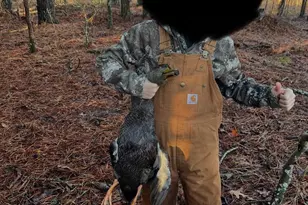 2839 Lakesville Crapo Rd, Church Creek, MD 21622 - Photo 6