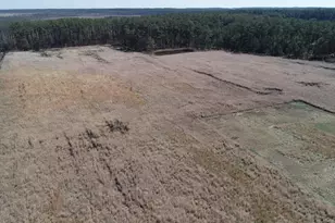 2839 Lakesville Crapo Rd, Church Creek, MD 21622 - Photo 34