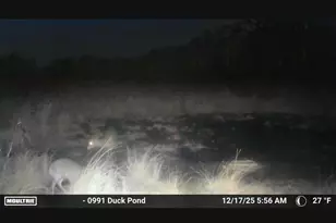 2839 Lakesville Crapo Rd, Church Creek, MD 21622 - Photo 22