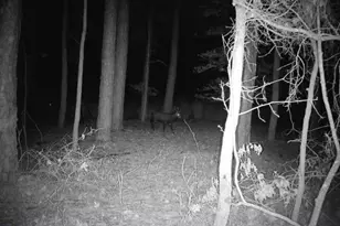 2839 Lakesville Crapo Rd, Church Creek, MD 21622 - Photo 12