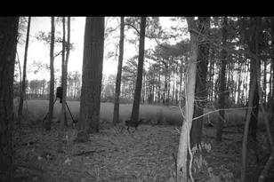 2839 Lakesville Crapo Rd, Church Creek, MD 21622 - Photo 14