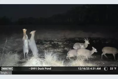 2839 Lakesville Crapo Road, Church Creek, MD 21622 - Photo 1