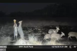 2839 Lakesville Crapo Rd, Church Creek, MD 21622 - Photo 1