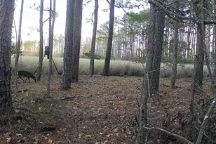 2839 Lakesville Crapo Rd, Church Creek, MD 21622 - Photo 8