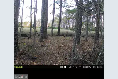 2839 Lakesville Crapo Road, Church Creek, MD 21622 - Photo 10