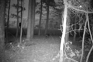 2839 Lakesville Crapo Rd, Church Creek, MD 21622 - Photo 16