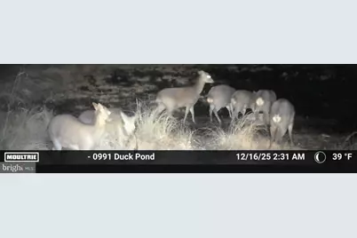 2839 Lakesville Crapo Road, Church Creek, MD 21622 - Photo 10