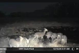 2839 Lakesville Crapo Rd, Church Creek, MD 21622 - Photo 10