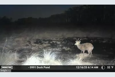 2839 Lakesville Crapo Road, Church Creek, MD 21622 - Photo 22