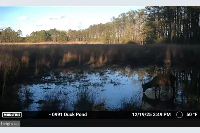 2839 Lakesville Crapo Road, Church Creek, MD 21622 - Photo 18