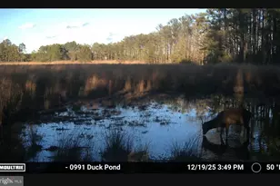 2839 Lakesville Crapo Rd, Church Creek, MD 21622 - Photo 18