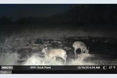 2839 Lakesville Crapo Road, Church Creek, MD 21622 - Photo 22