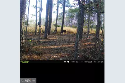 2839 Lakesville Crapo Road, Church Creek, MD 21622 - Photo 14