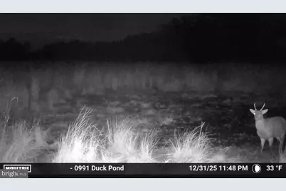 2839 Lakesville Crapo Road, Church Creek, MD 21622 - Photo 16