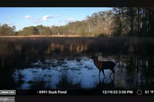 2839 Lakesville Crapo Rd, Church Creek, MD 21622 - Photo 1