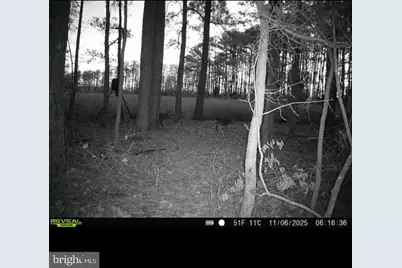 2839 Lakesville Crapo Road, Church Creek, MD 21622 - Photo 14