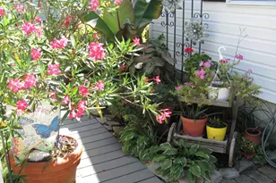 19 Holly Terrace, Cambridge, MD 21613 - Photo 24