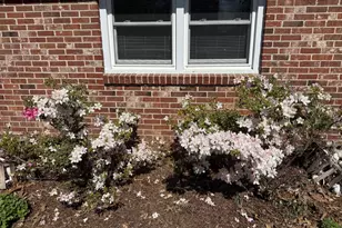 9 Merry Weather Dr, Cambridge, MD 21613 - Photo 42