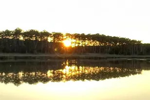 4004 Robinson Neck Rd, Taylors Island, MD 21669 - Photo 66