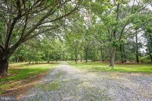 4004 Robinson Neck Rd, Taylors Island, MD 21669 - Photo 62