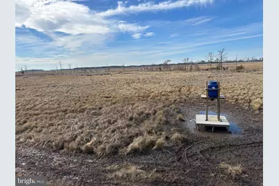 2775 Toddville Road, Toddville, MD 21672 - Photo 24