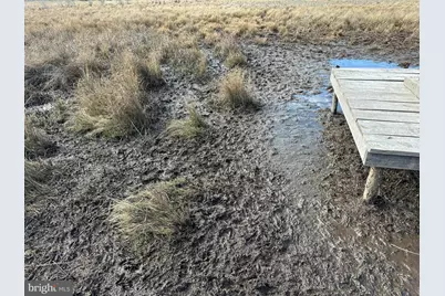 2775 Toddville Road, Toddville, MD 21672 - Photo 26