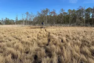 2775 Toddville Rd, Toddville, MD 21672 - Photo 30