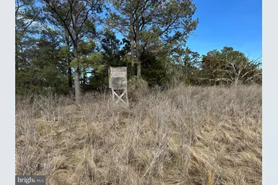 2775 Toddville Road, Toddville, MD 21672 - Photo 48