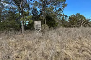 2775 Toddville Rd, Toddville, MD 21672 - Photo 48