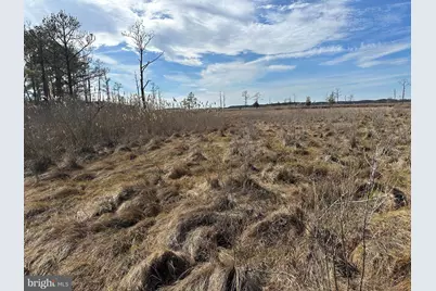 2775 Toddville Road, Toddville, MD 21672 - Photo 34