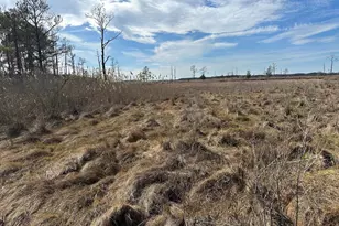 2775 Toddville Rd, Toddville, MD 21672 - Photo 34